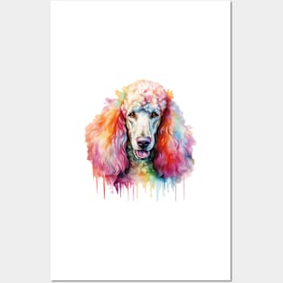 Colorful Poodle Watercolor Art Posters and Art